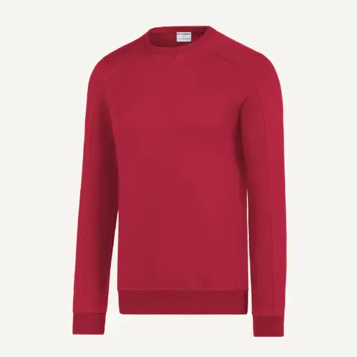 Dukserica premijum # ST-333